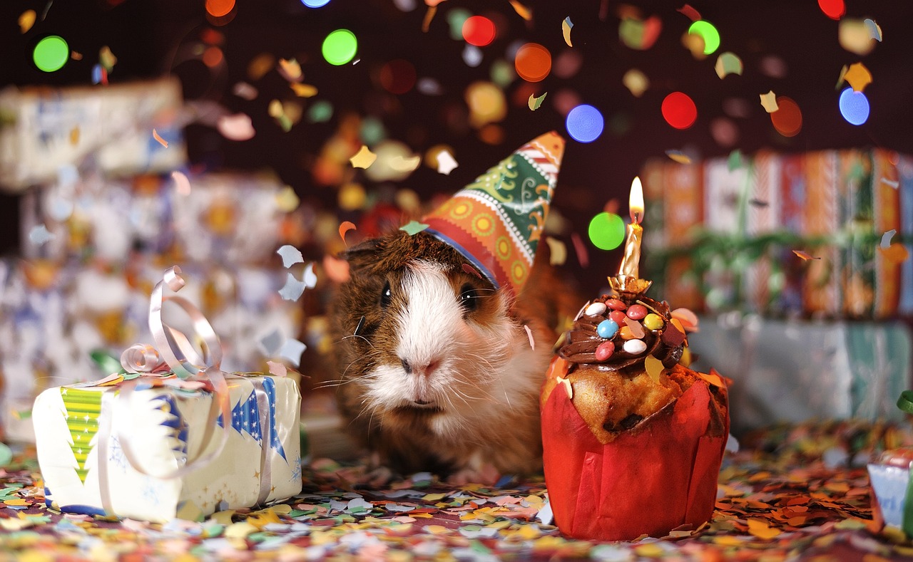 One Year Closer to Death: A Sarcastic Take on Why We Celebrate Birthdays